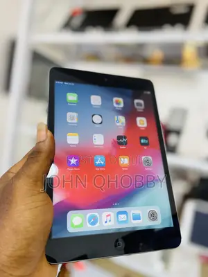 Apple iPad mini 2 16 GB Gray