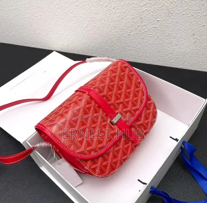 Goyard Side Bag