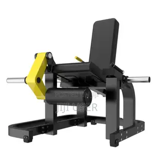 Leg Extension
