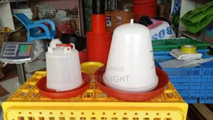 Poultry Feeders and Drinkers