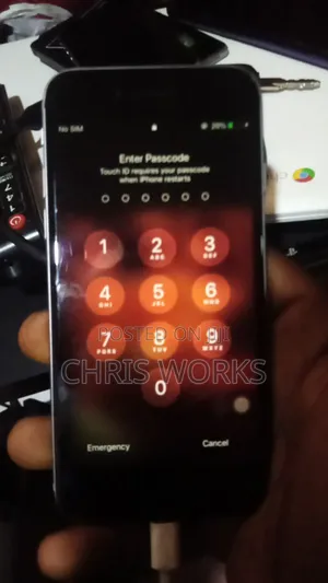 iPhone Flashing /Restoring