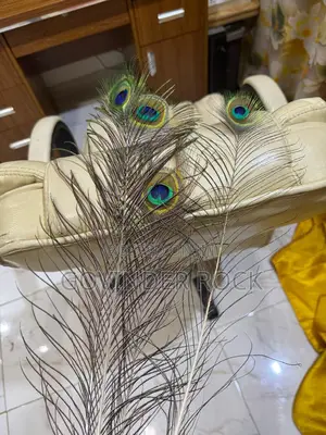 Photo - Peacock Feathers and Mystical Items