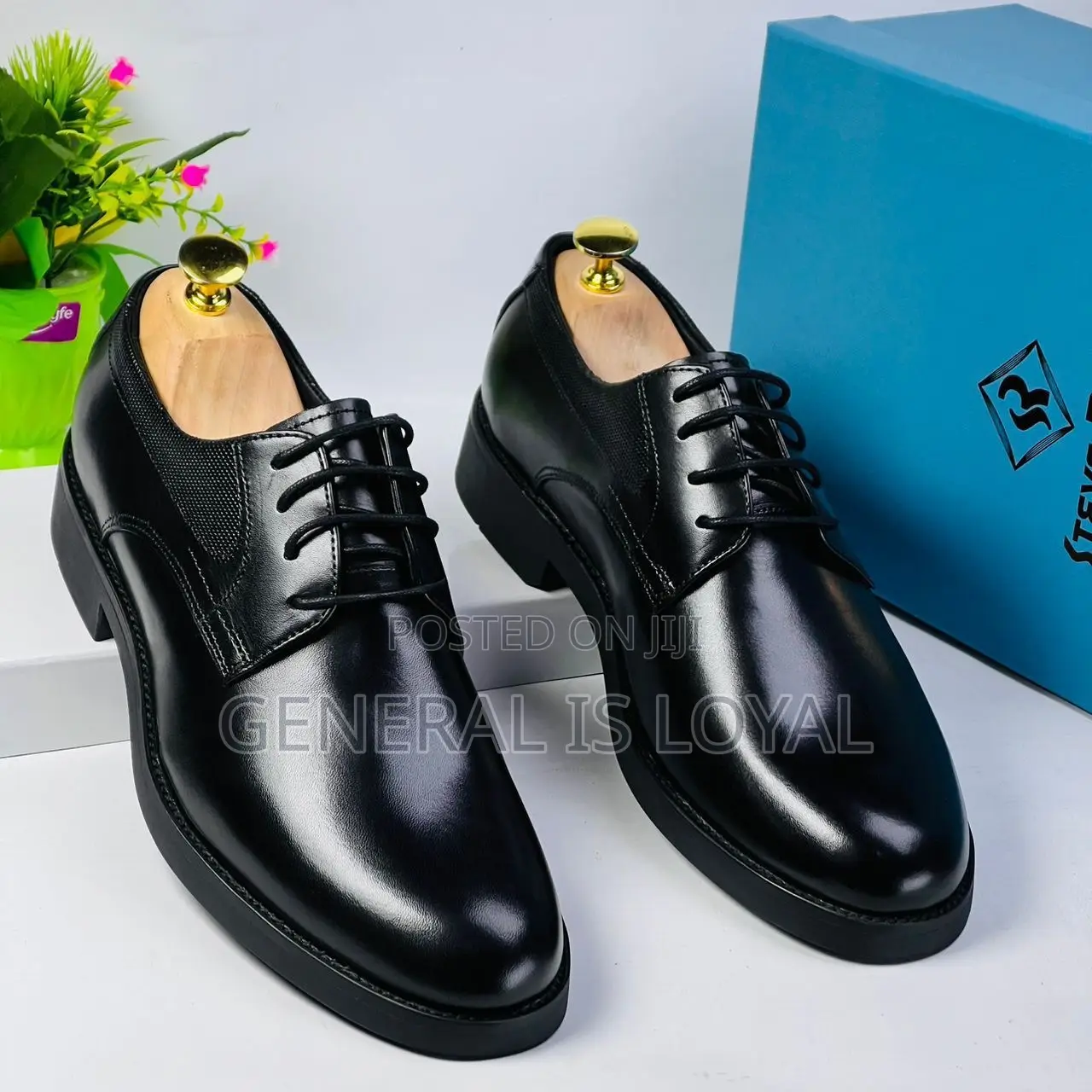 Steve Riots Lace Up Black Shoe