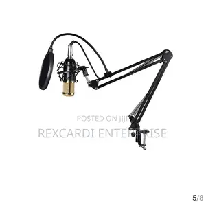 Professional Studio Condenser Microphone