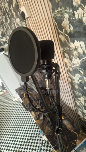 Professional Studio Condenser Microphone