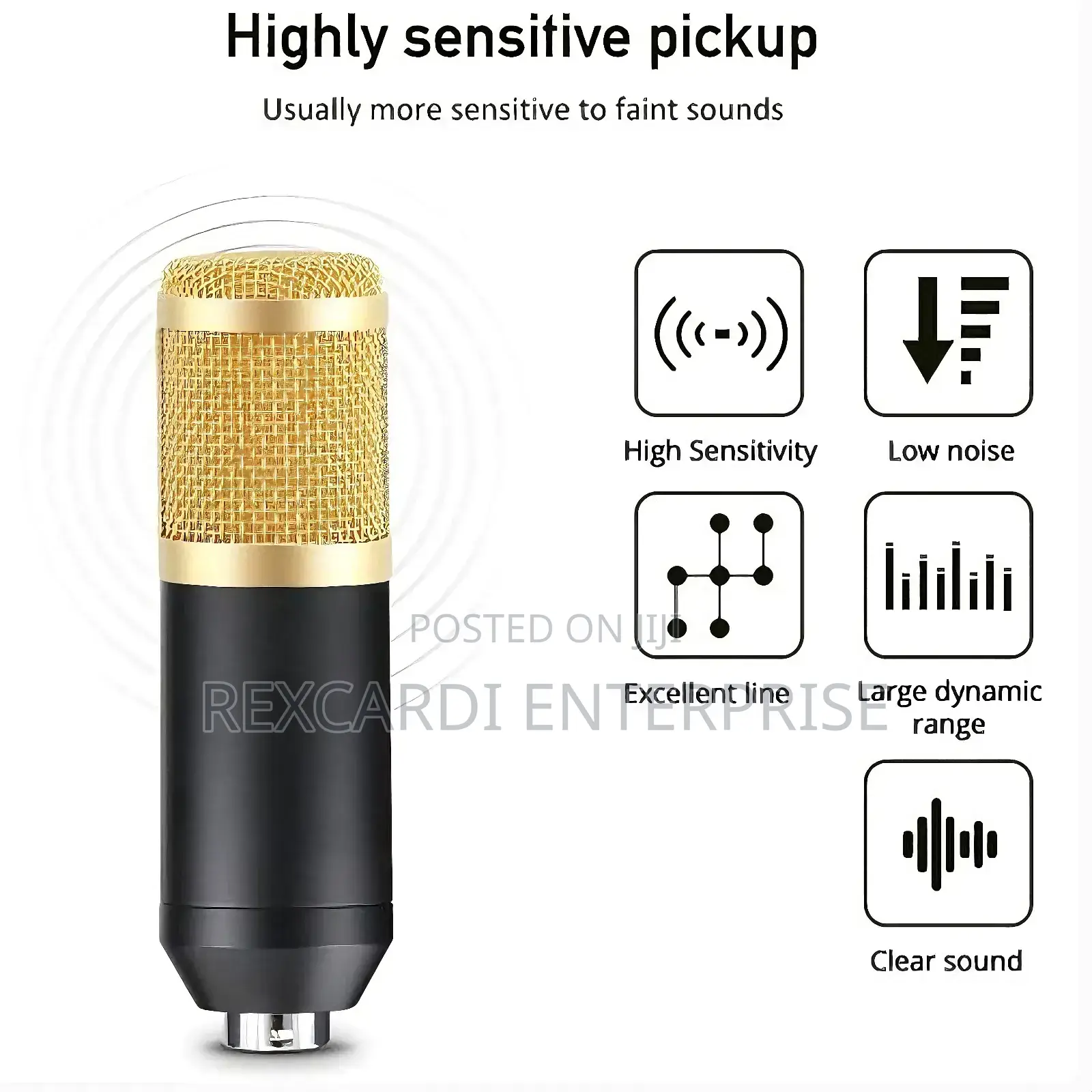 Professional Studio Condenser Microphone