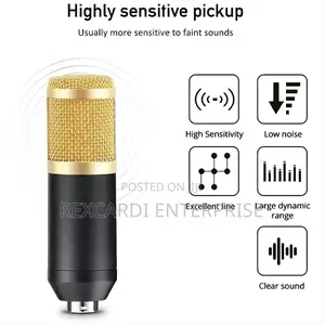 Professional Studio Condenser Microphone