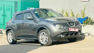 Photo - Nissan Juke 2011 Gray