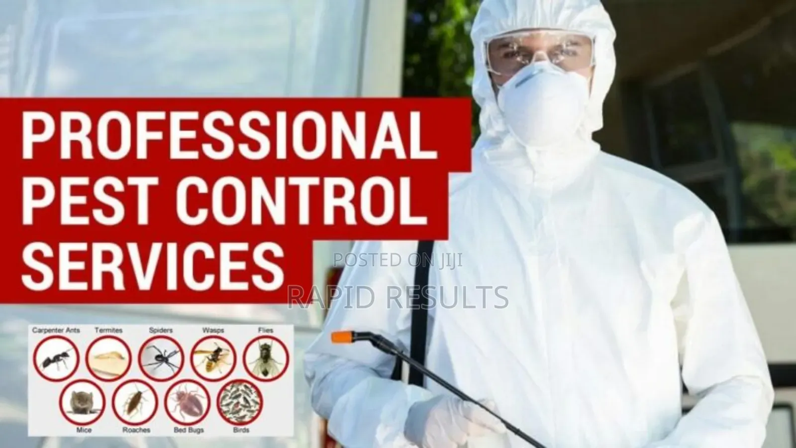 Organic Pesticides Fumigation Against All Kinds Of Pest