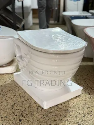 Concealed Water Closet _ Hanging Toilet