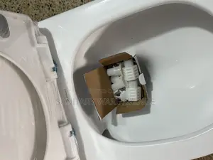 Concealed Water Closet _ Hanging Toilet
