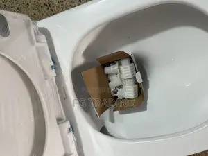 Concealed Water Closet _ Hanging Toilet