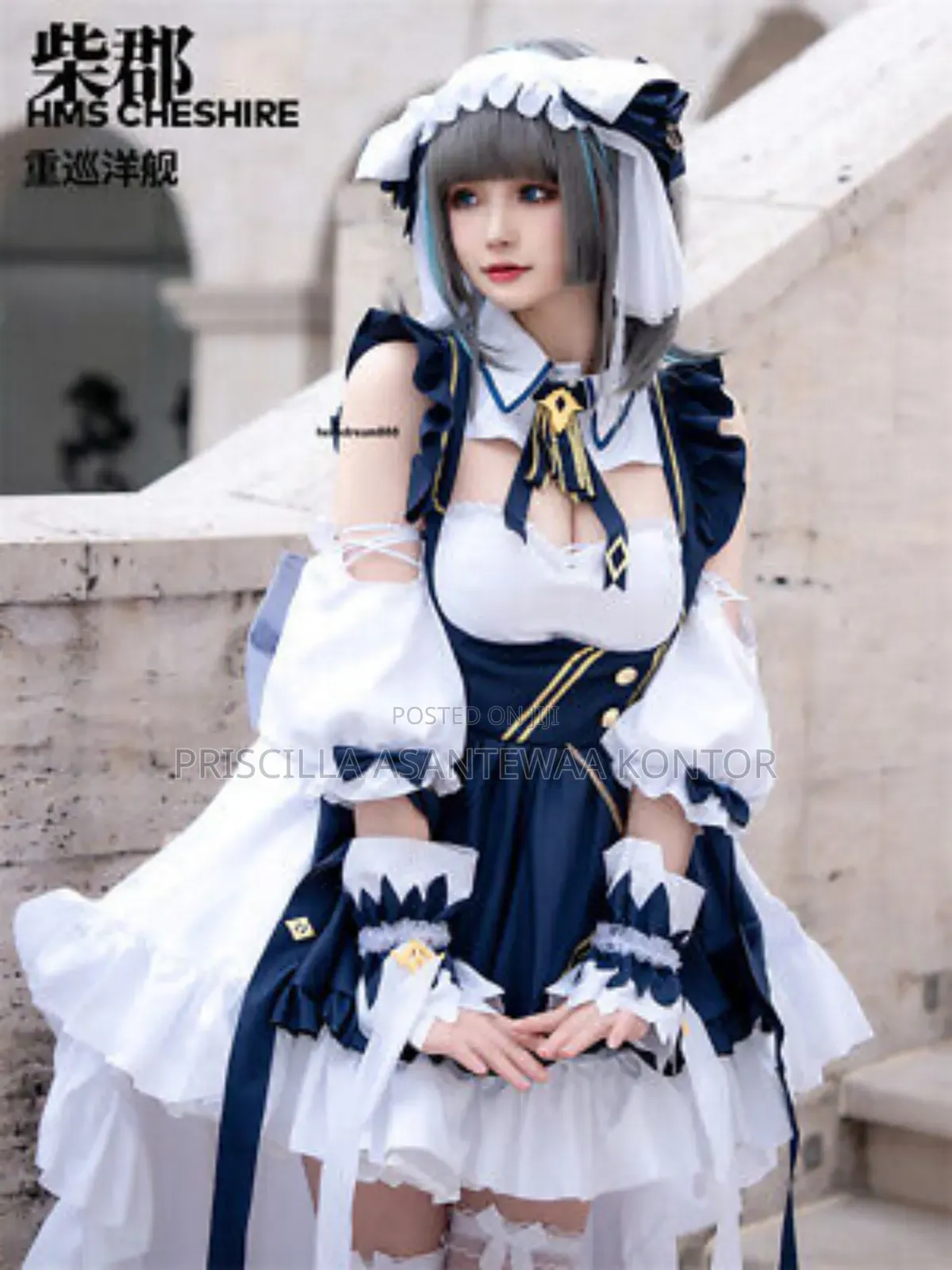 Anime Maid Costumes