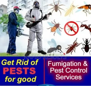 Right Ways Fumigations and Pest Control Services
