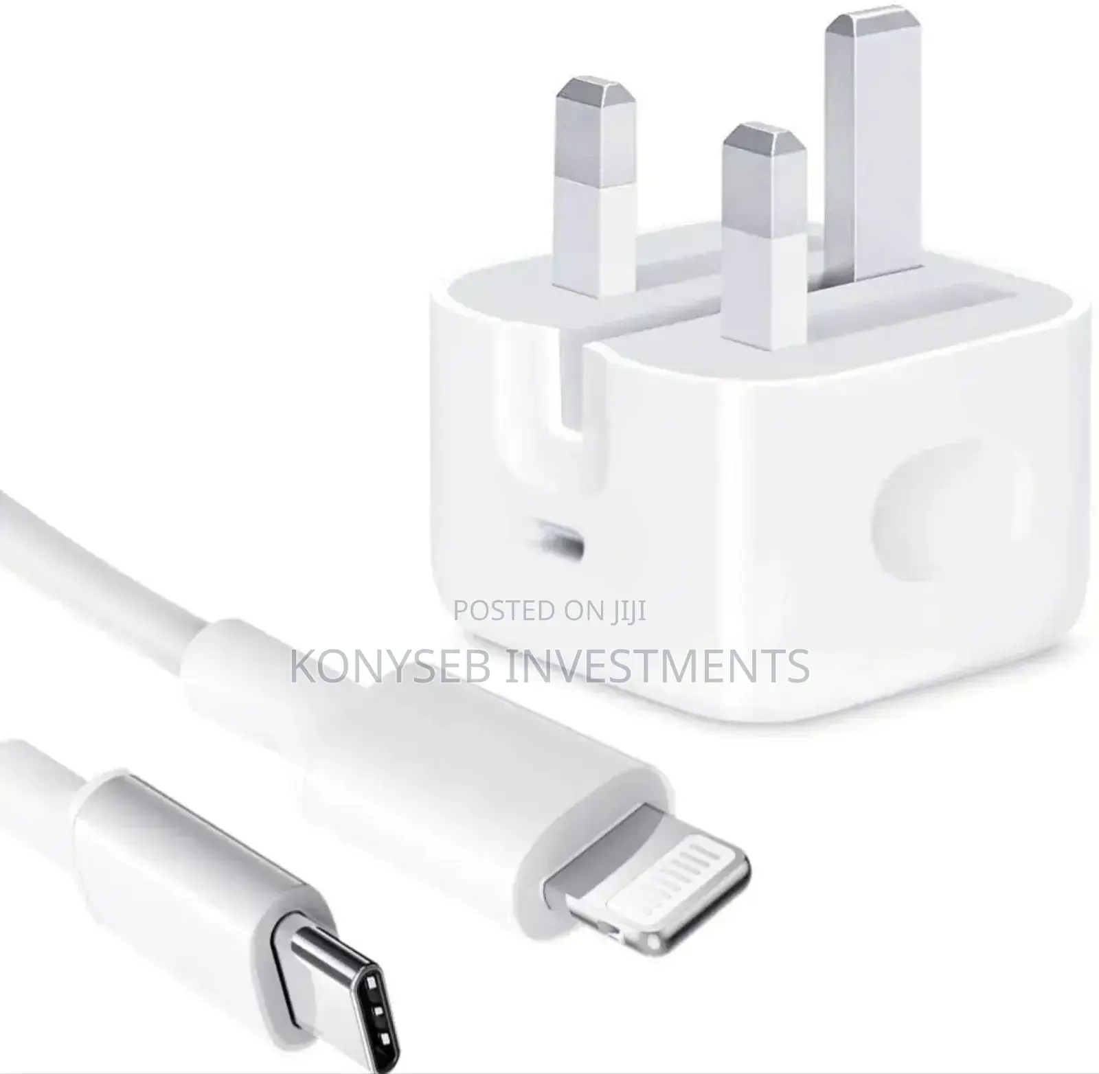 Original iPhone Charger