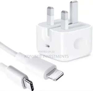 Original iPhone Charger