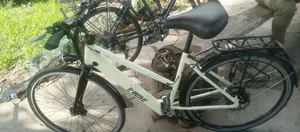 E- Move Electric Bike