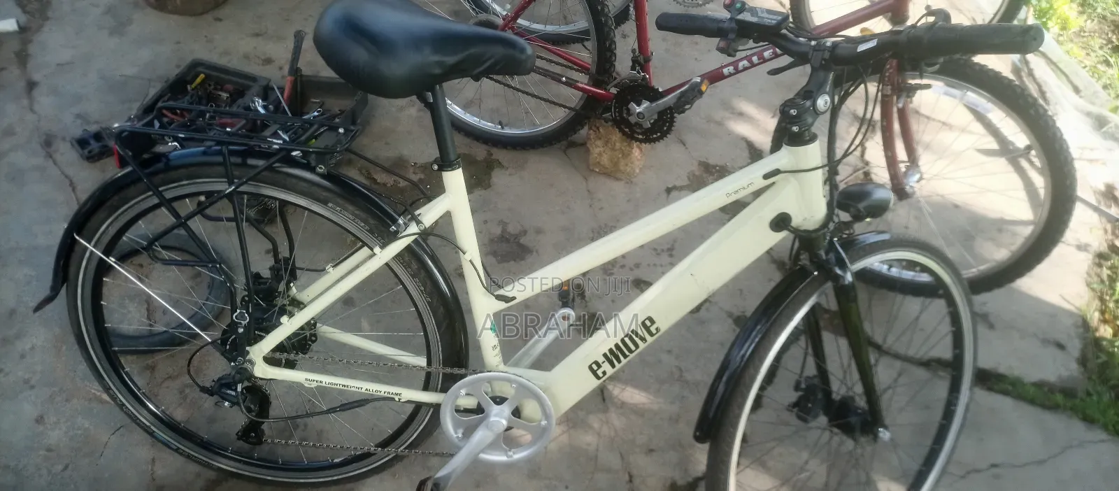E- Move Electric Bike