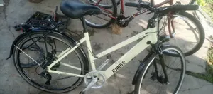 E- Move Electric Bike
