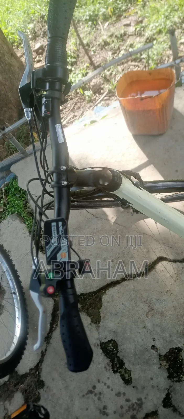 E- Move Electric Bike