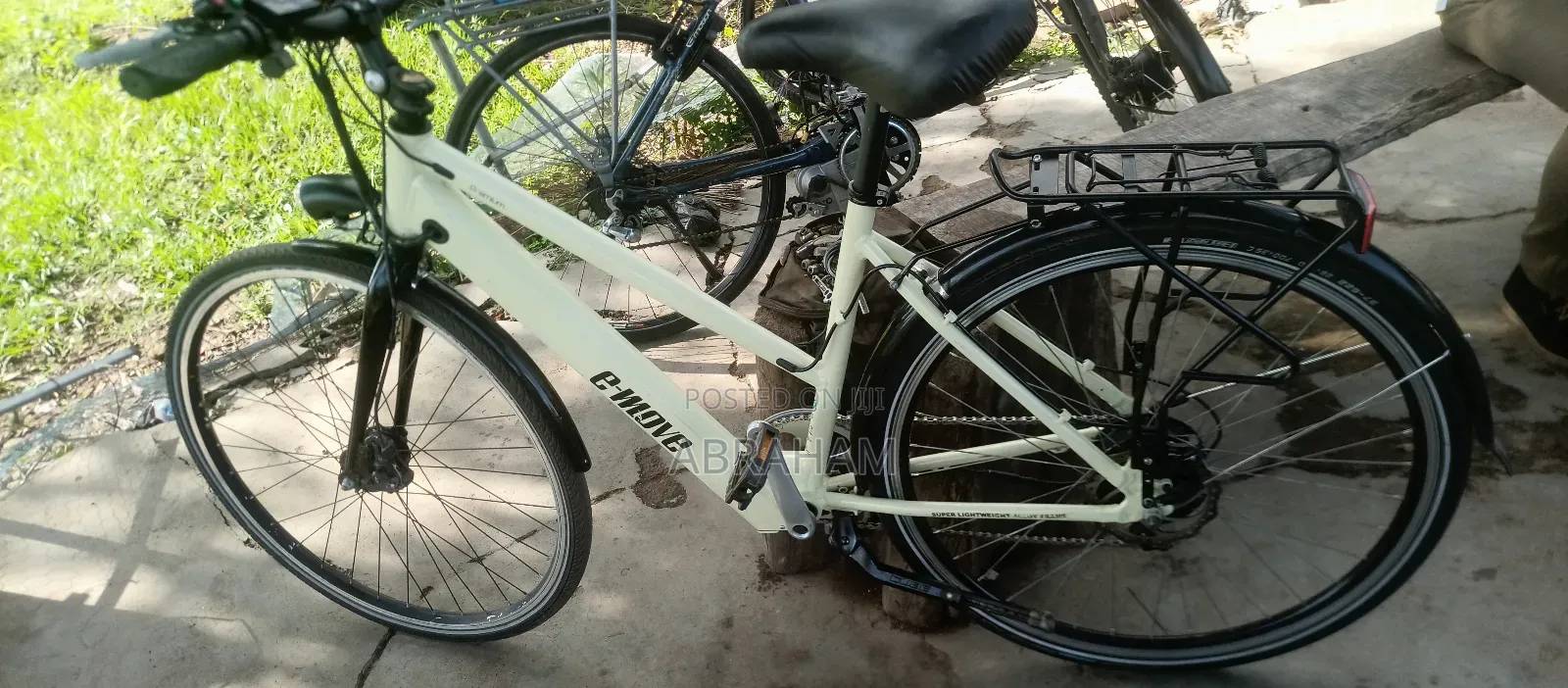 E- Move Electric Bike