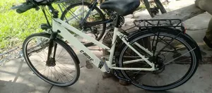 E- Move Electric Bike