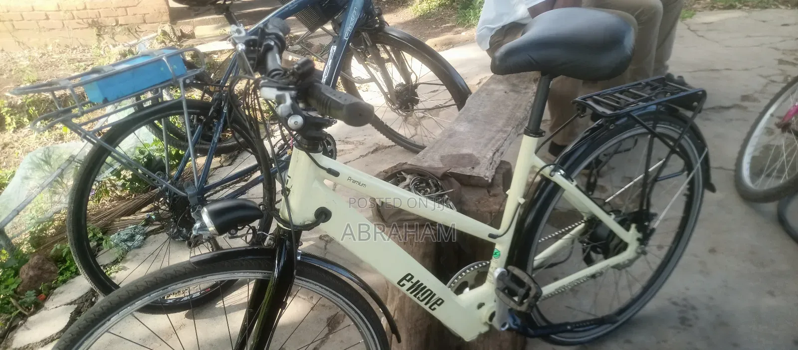 E- Move Electric Bike