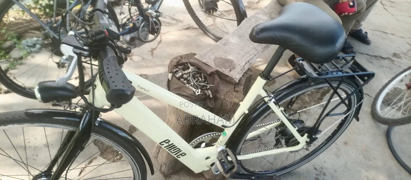 E- Move Electric Bike