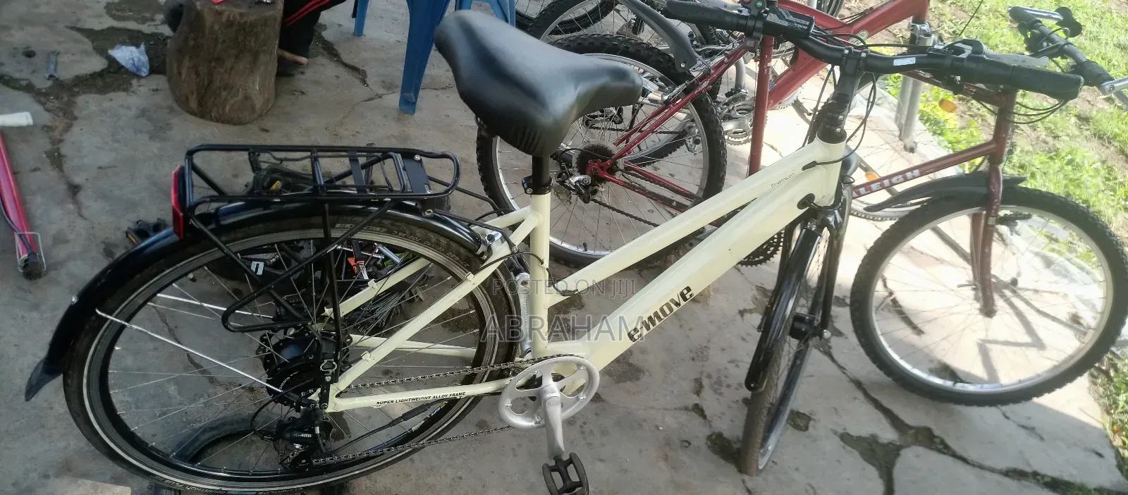 E- Move Electric Bike