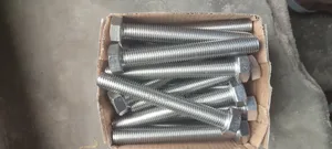 Bolt and Nuts Stainless Steel M16x120mm