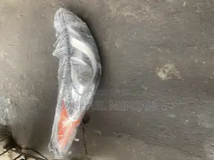 Hyundai Elantra 2012 Head Light