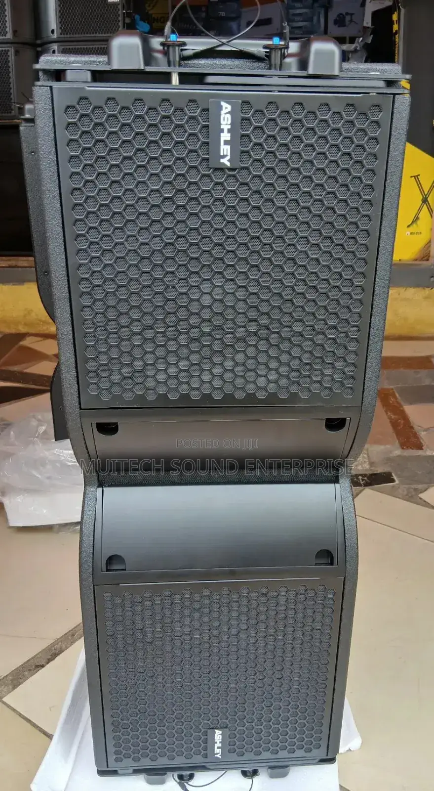 Ashley Line Array Speaker 10 Inches