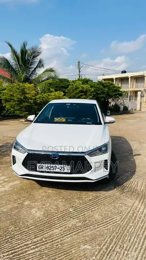 Photo - BYD E2 35 kWh 94 hp FWD 2021 White