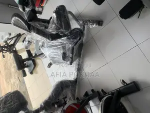 Schwin Recumbent Bike 136 Kg