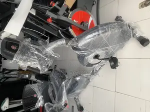 Schwin Recumbent Bike 136 Kg
