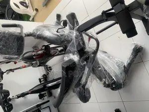 Schwin Recumbent Bike 136 Kg