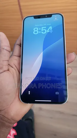 Apple iPhone 12 Pro Max 256 GB Silver