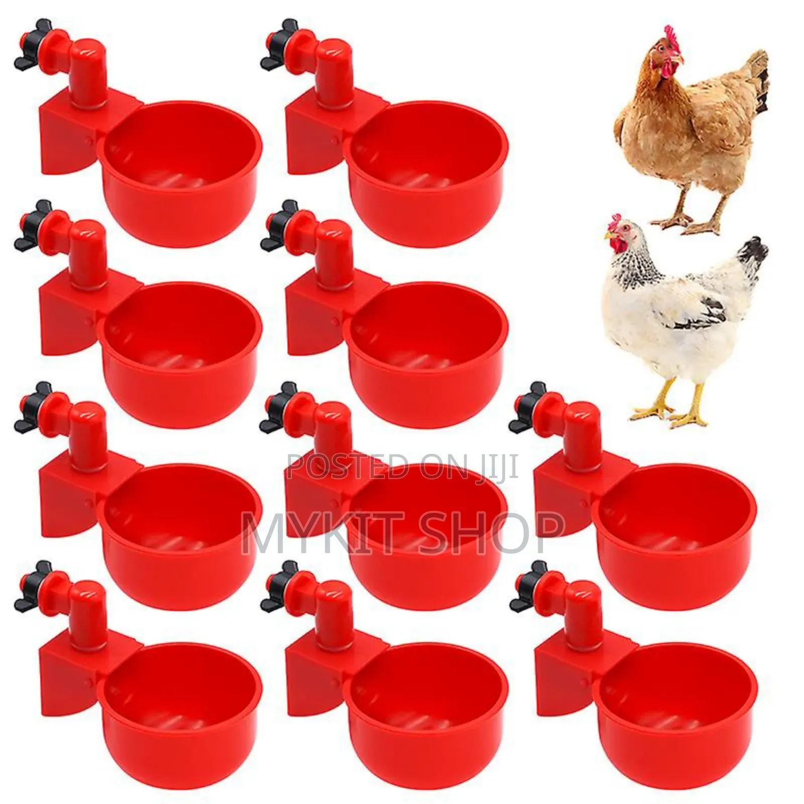 Chicken Nipple (Cn20)