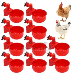 Chicken Nipple (Cn20)