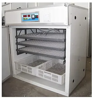 528egg Incubator