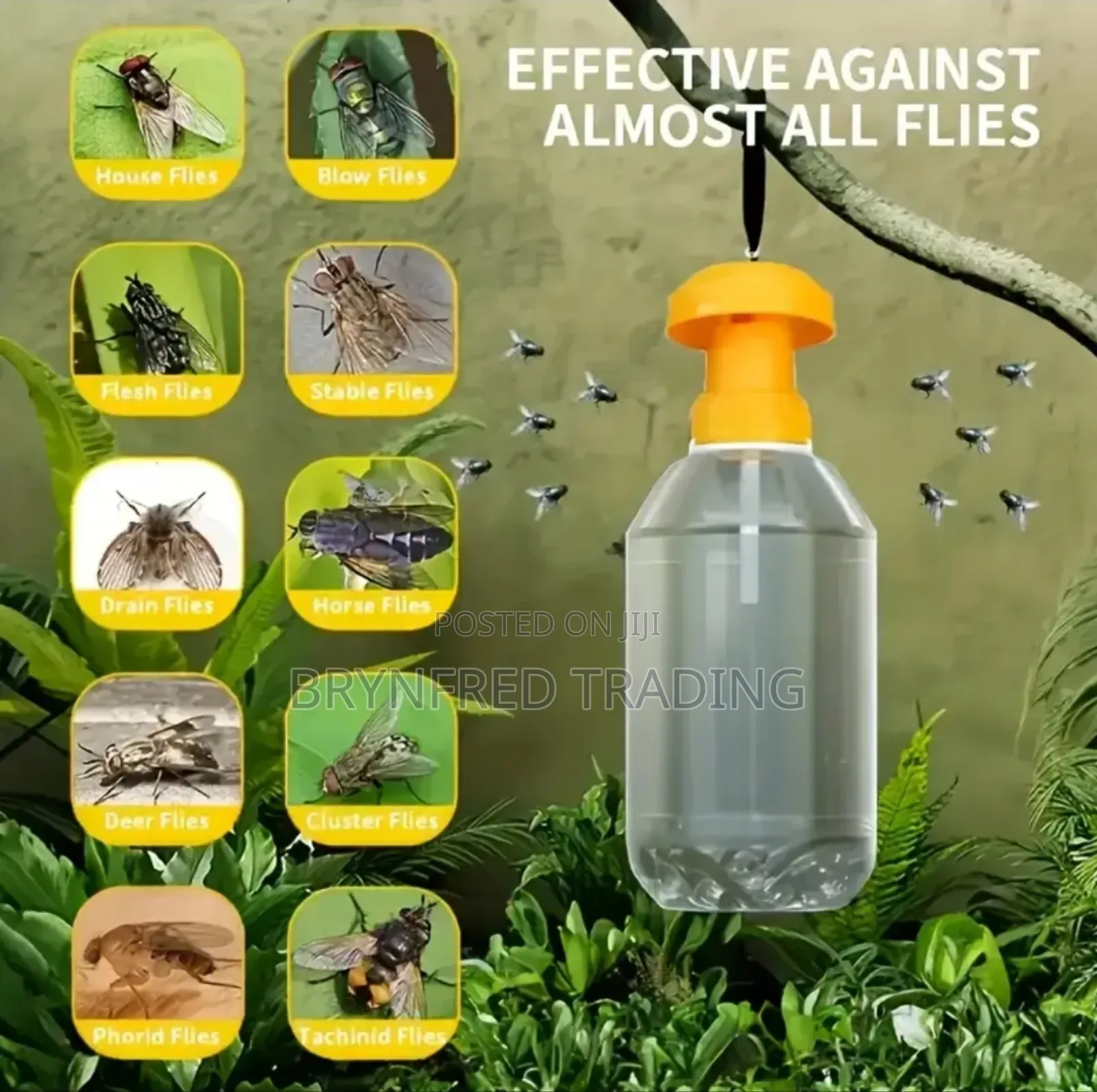 Bottle Cap and Sponge Stick (Fruitfly Control Kit)