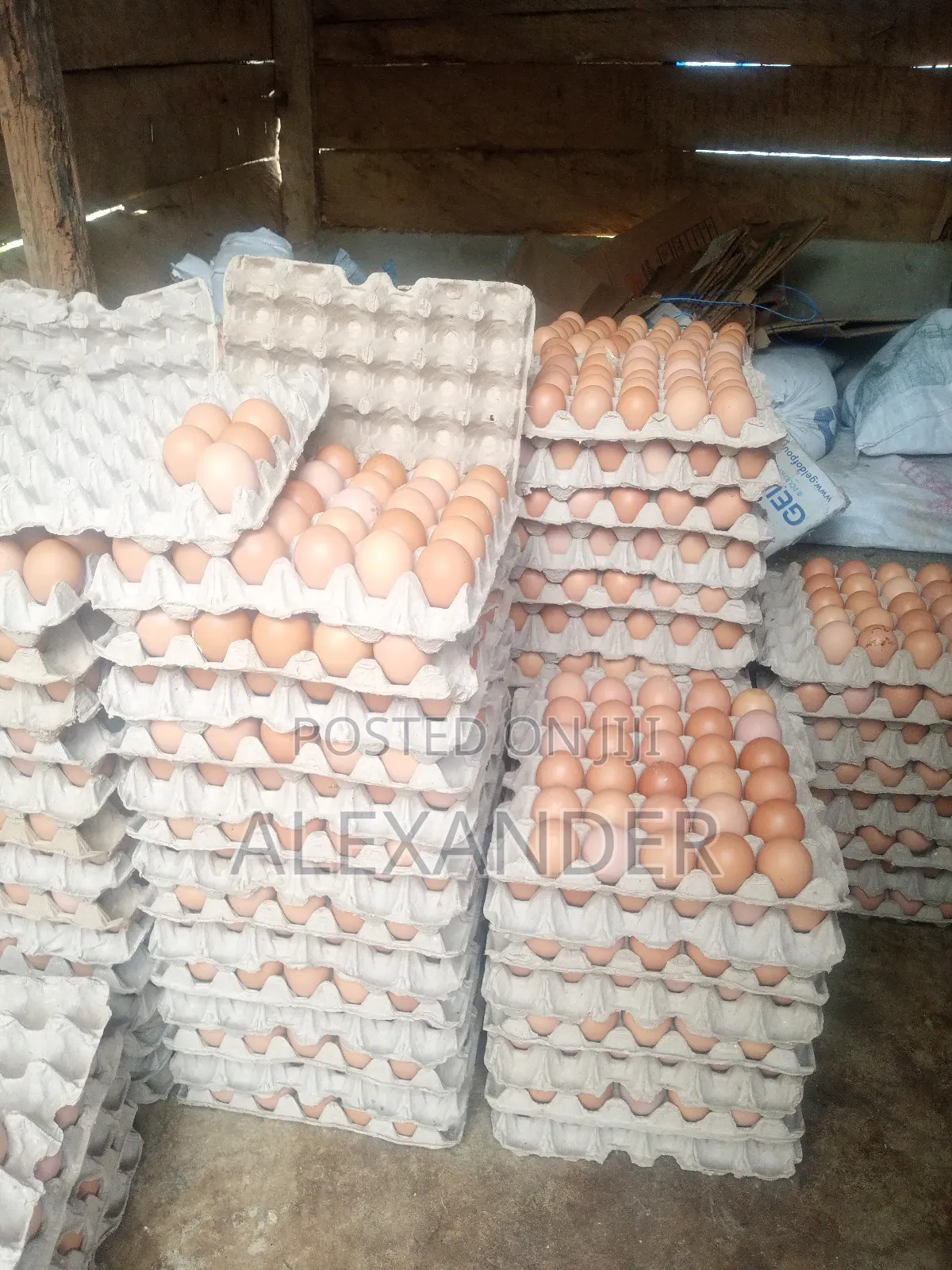 Eggs Distributor