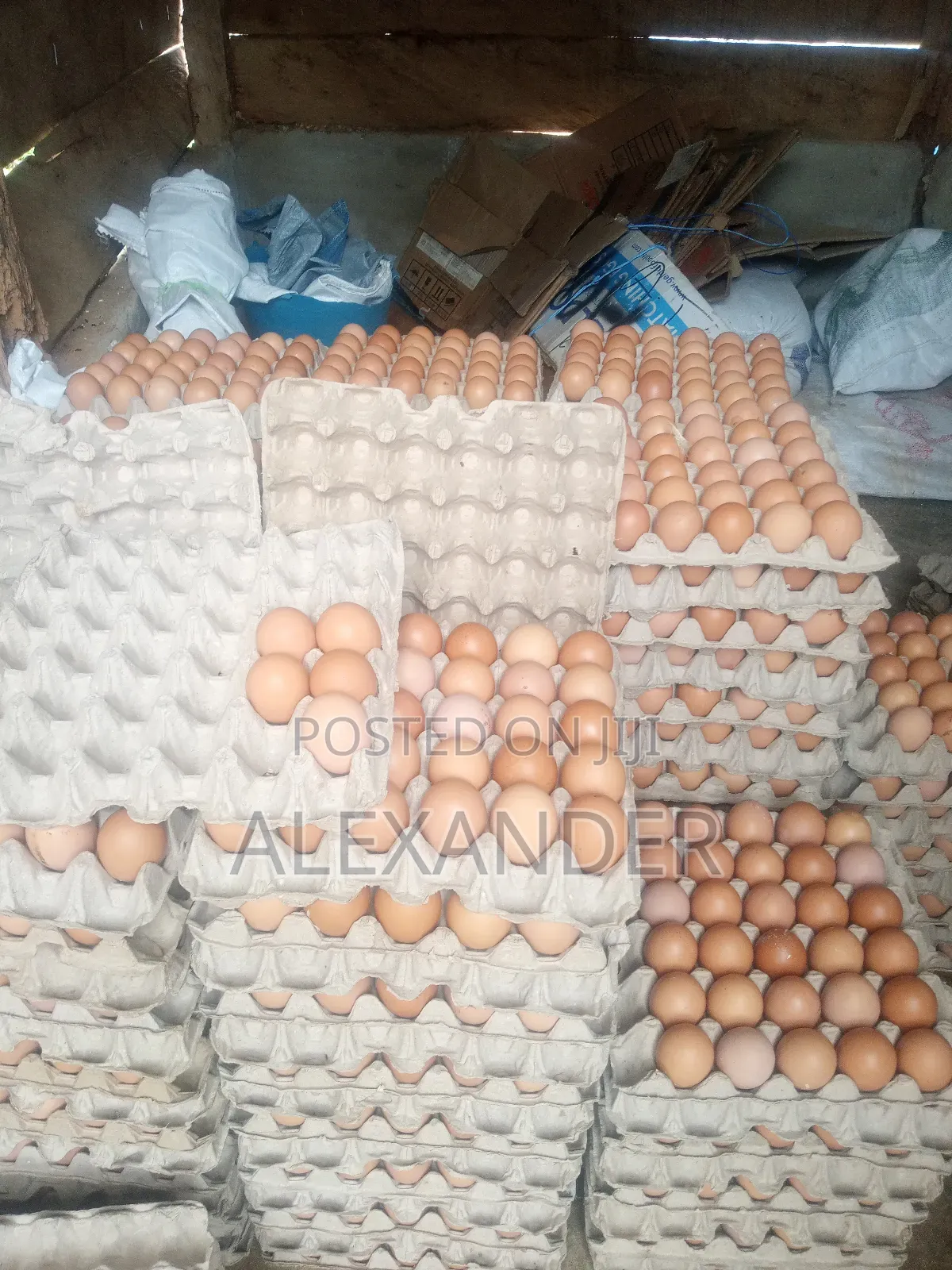 Eggs Distributor