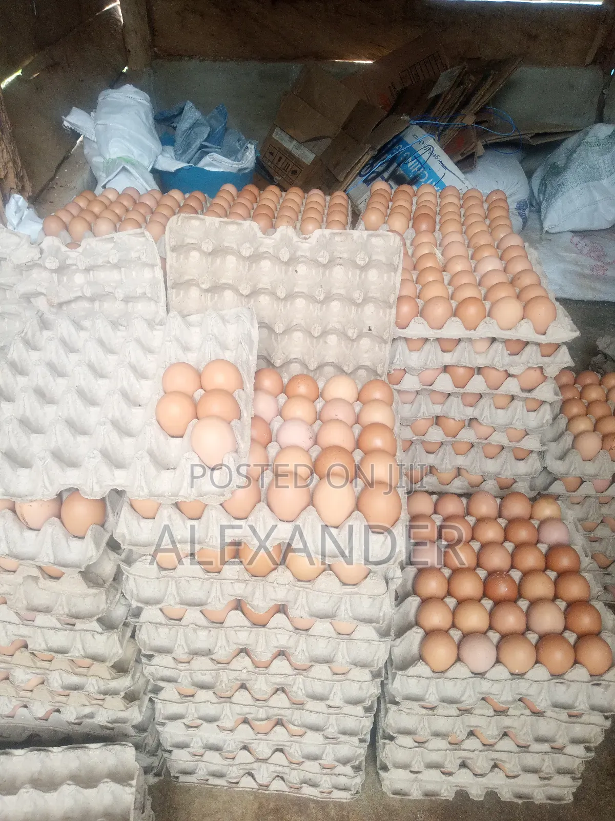 Eggs Distributor