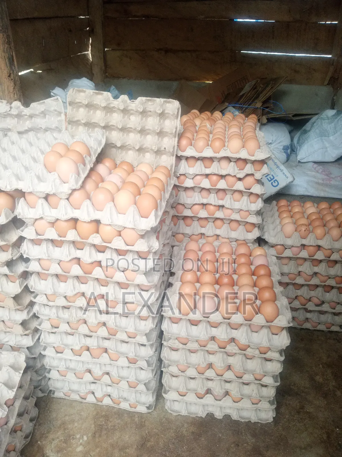 Eggs Distributor