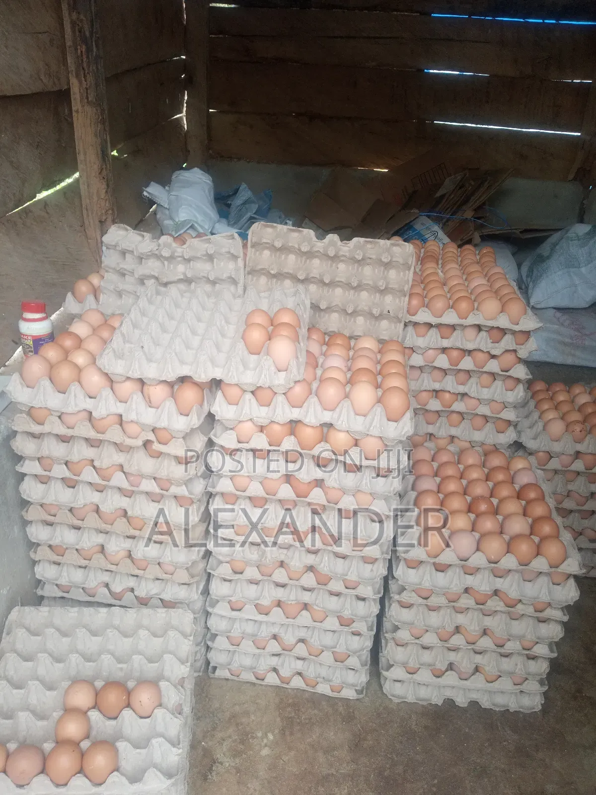 Eggs Distributor