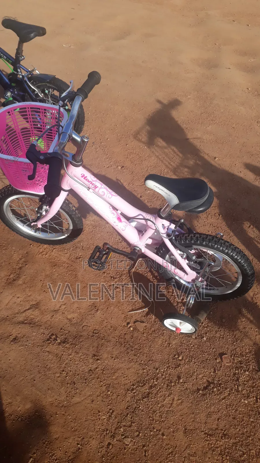 Kid Bicycle for All Girls Child and Boy Child Can Ride