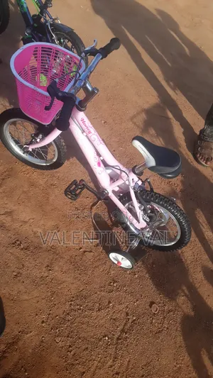 Kid Bicycle for All Girls Child and Boy Child Can Ride