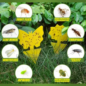 10pcs Yellow Sticky Insect Traps