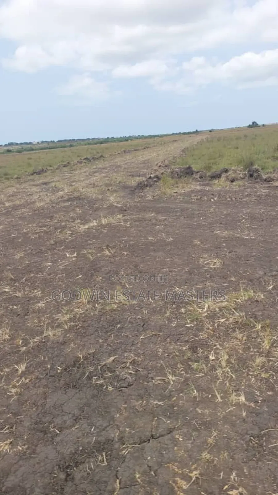 A Beautiful Litigation Free Lands in Pankrofrom in Gomoa